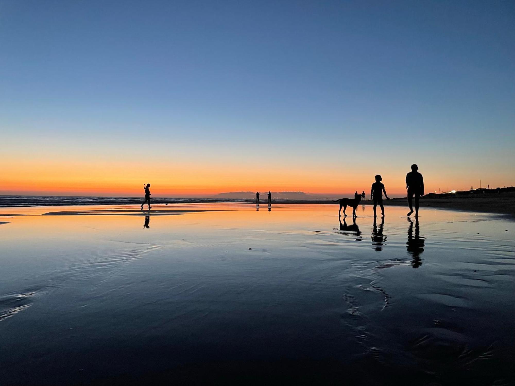 Sea View & Sundown, 150M From The Beach And Surf Spots 코스타 다 카파리카 외부 사진